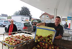 Äpfel - WBecker Äpfel - WBecker