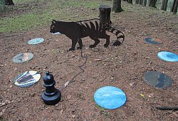 Wildkatze - Wolfgang Becker Wildkatze - Wolfgang Becker