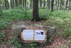 Mythenweg - Privat Mythenweg - Privat